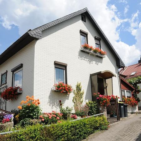 Ferienwohnung Bradsch Ilmenau Pokoj fotografie