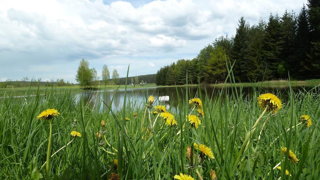 Ferienwohnung Bradsch Ilmenau Pokoj fotografie