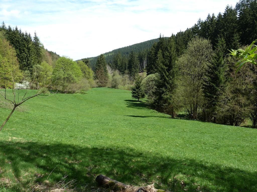 Ferienwohnung Bradsch Ilmenau Pokoj fotografie